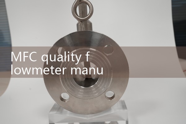 MFC quality flowmeter manufacturer