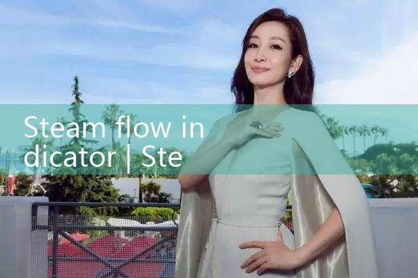 steam flow indicator|balo meter