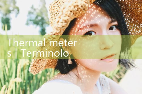 thermal meters|rotameter flow meter
