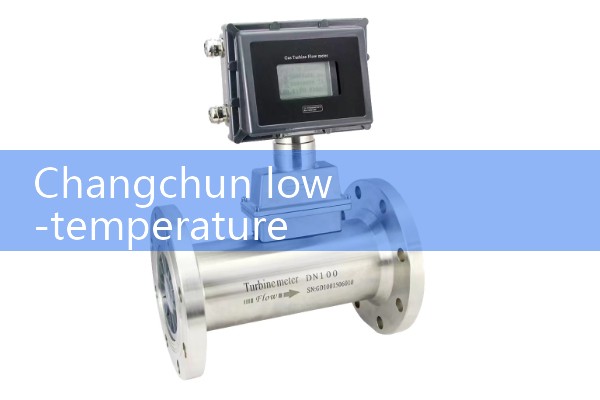 Changchun Low Temperature Mass Flow Meter Manufacturer