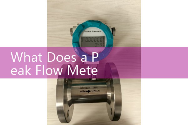 Zaozhuang Intelligent Mass Flow Meter