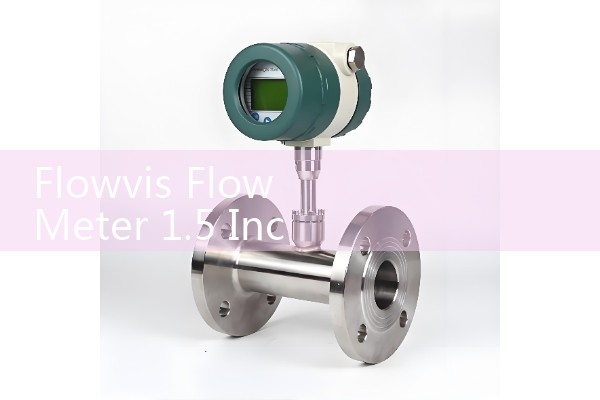 Flowvis Flow Meter 1.5 Inch Installation: Correct Retrofitting Steps for Residential Filter Piping