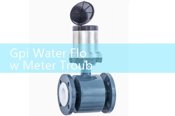 Gpi Water Flow Meter Troubleshooting: Fixing Frozen Totalizers and Cleaning Turbulent Sediment