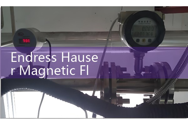 Endress Hauser Magnetic Flow Meter Manual Collection: Promag H, P, and W User Guides