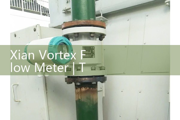 Xian Vortex Flow Meter