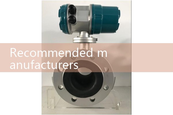 Recommended manufacturers for Fujian quality flow meters