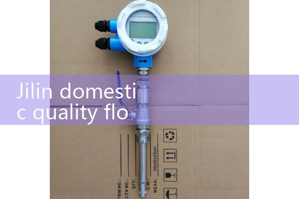 Jilin domestic quality flowmeter manufacturer