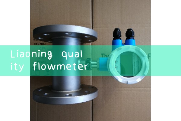 Liaoning Quality Flow Meter Source Manufacturer