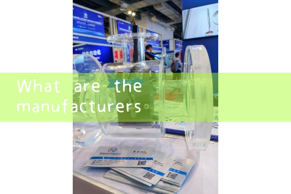 Weinan Quality Flow Meter Manufacturer